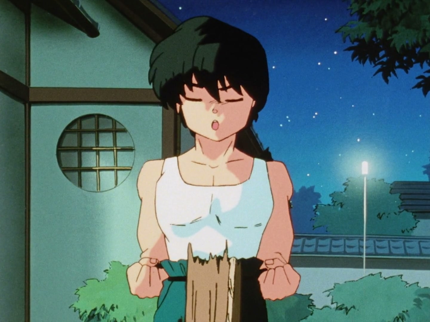 Ranma ½ Ep 80: Close Call! P-chan's Secret @ 00:02:39