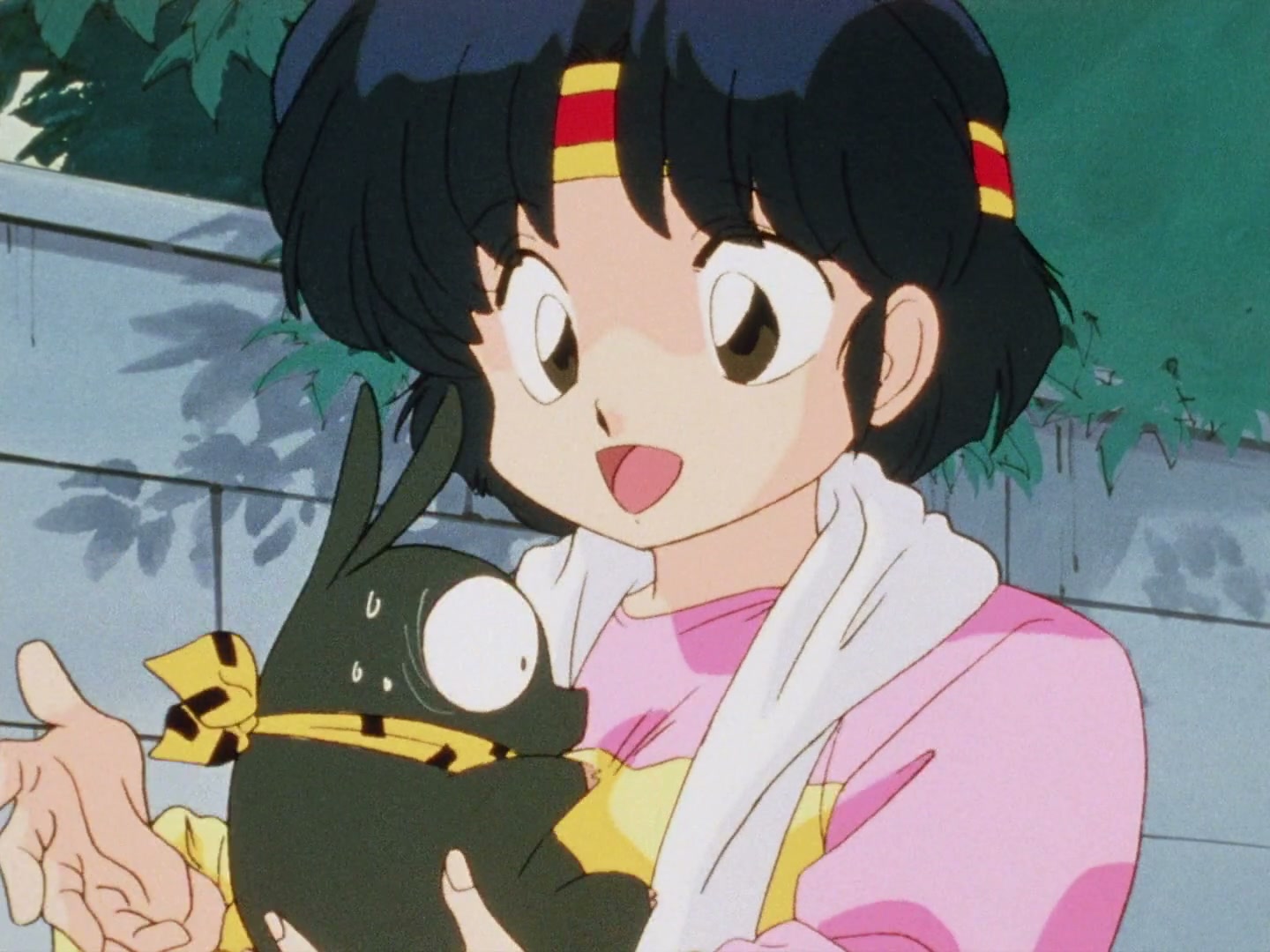 Ranma ½ Ep 80: Close Call! P-chan's Secret @ 00:08:58