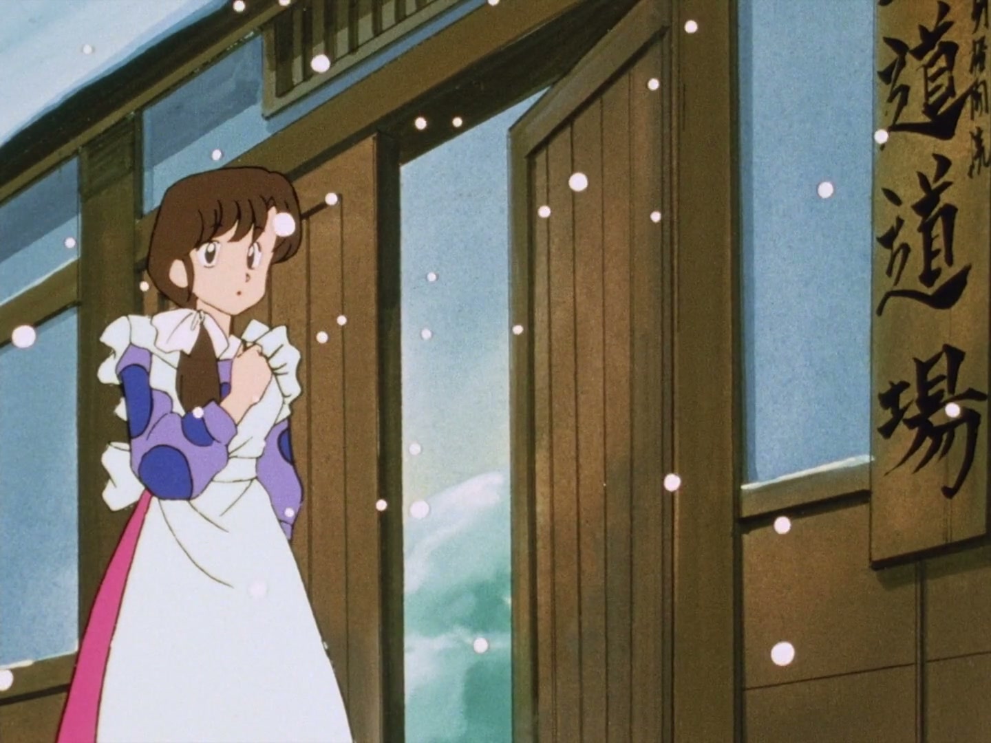Ranma ½ Ep 81: The Egg-Catcher Man @ 00:21:09
