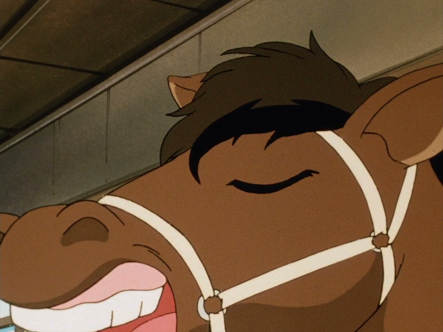 Ranma ½ Ep 97: The Matriarch Takes a Stand @ 00:05:03