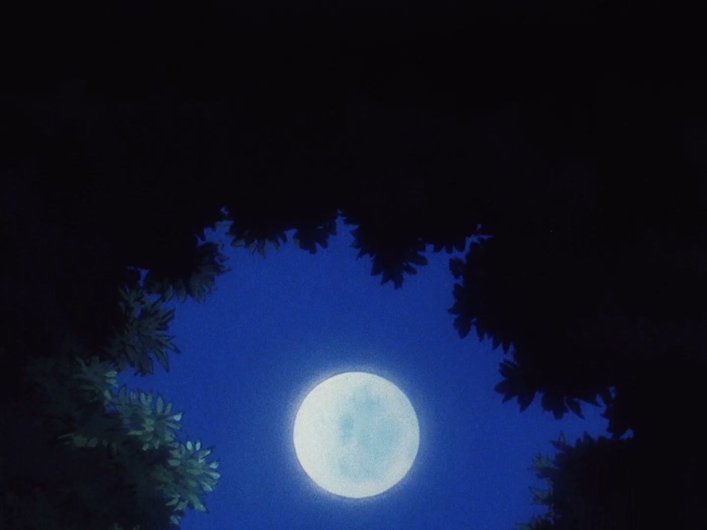 Ranma ½ Ep 100: The Frogman's Curse! @ 00:15:41