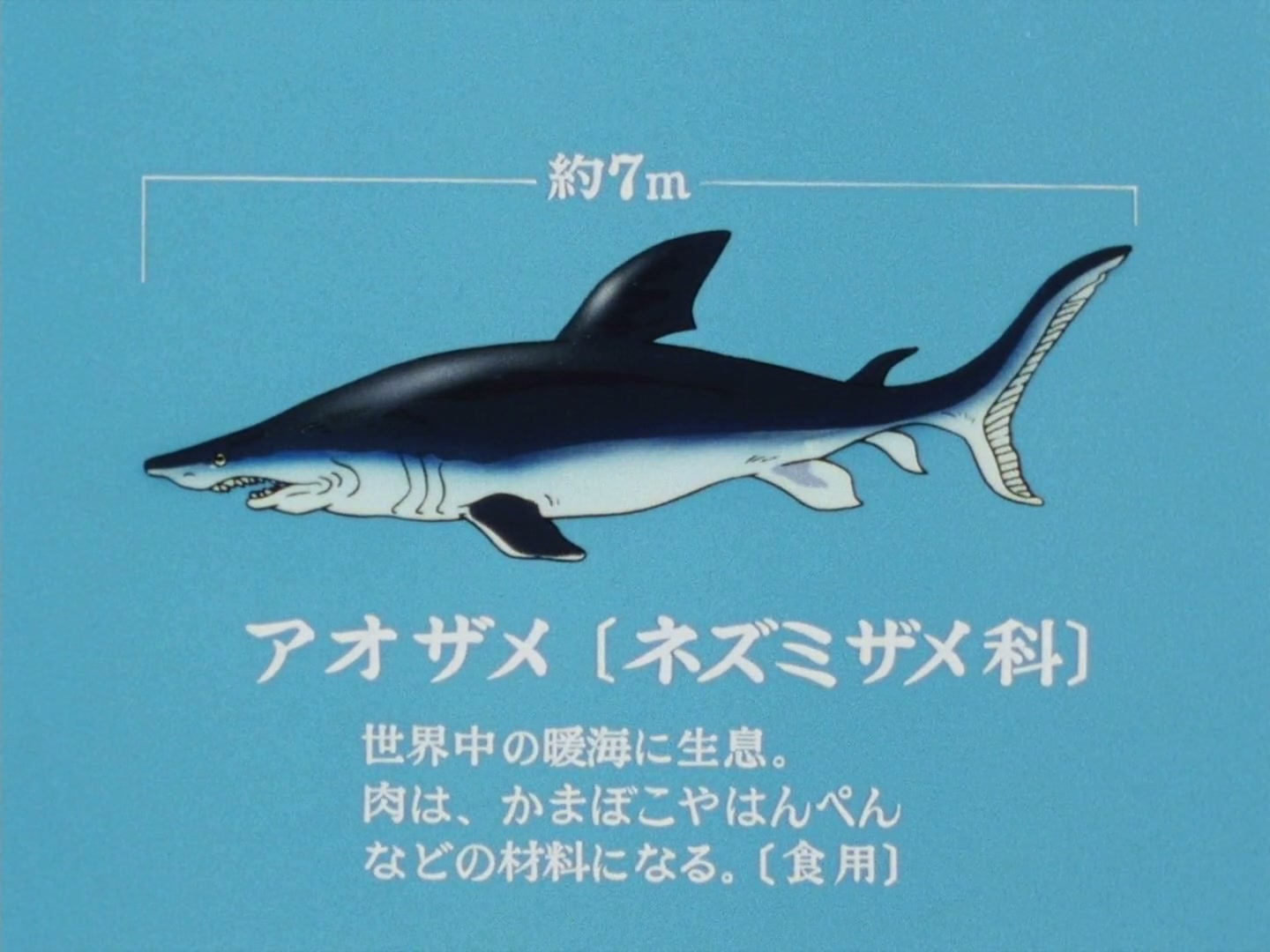 Ranma ½ Ep 107: Swimming with Psychos @ 00:07:36