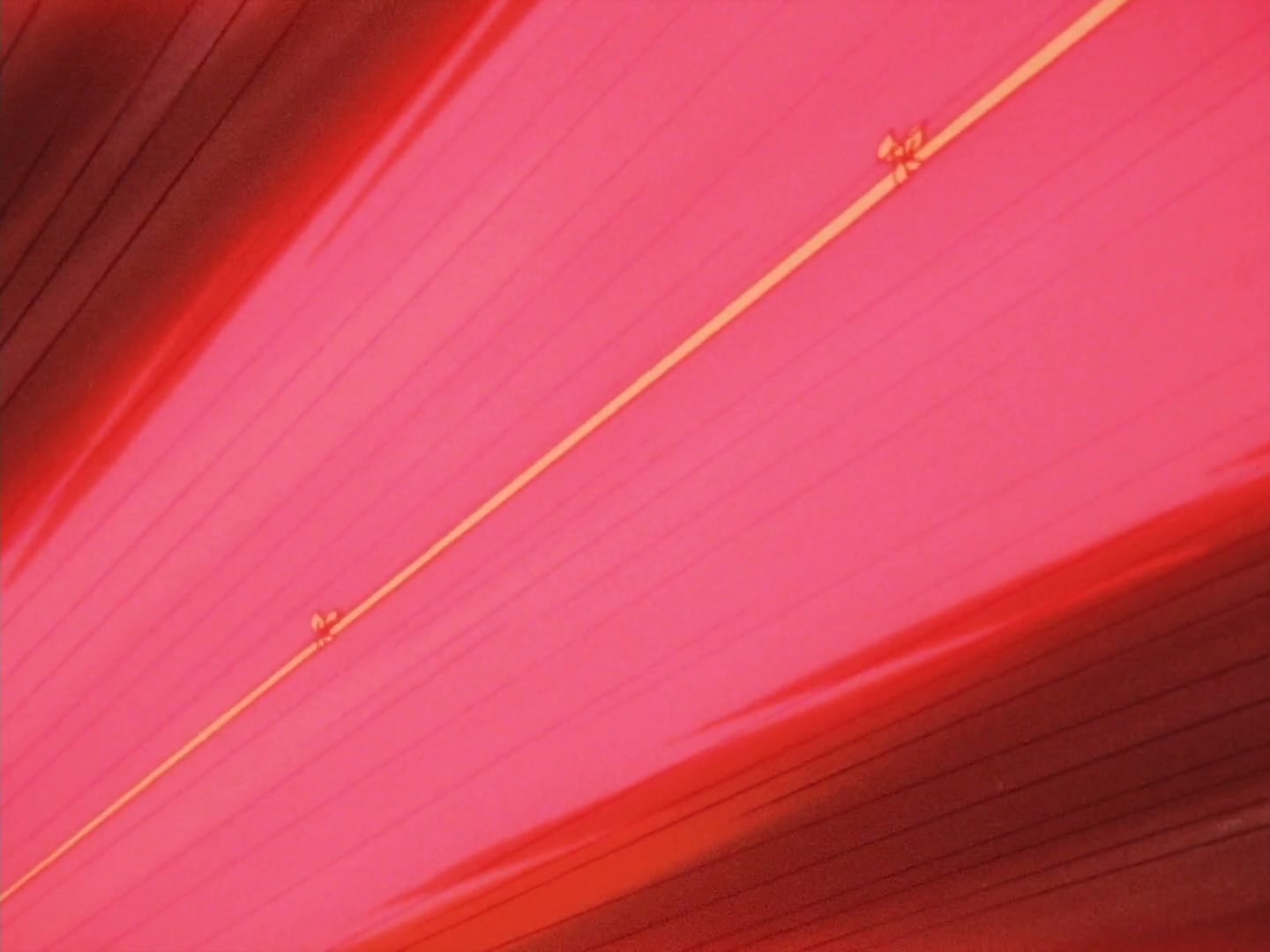 Ranma ½ Ep 123: A Xmas Without Ranma @ 00:19:18