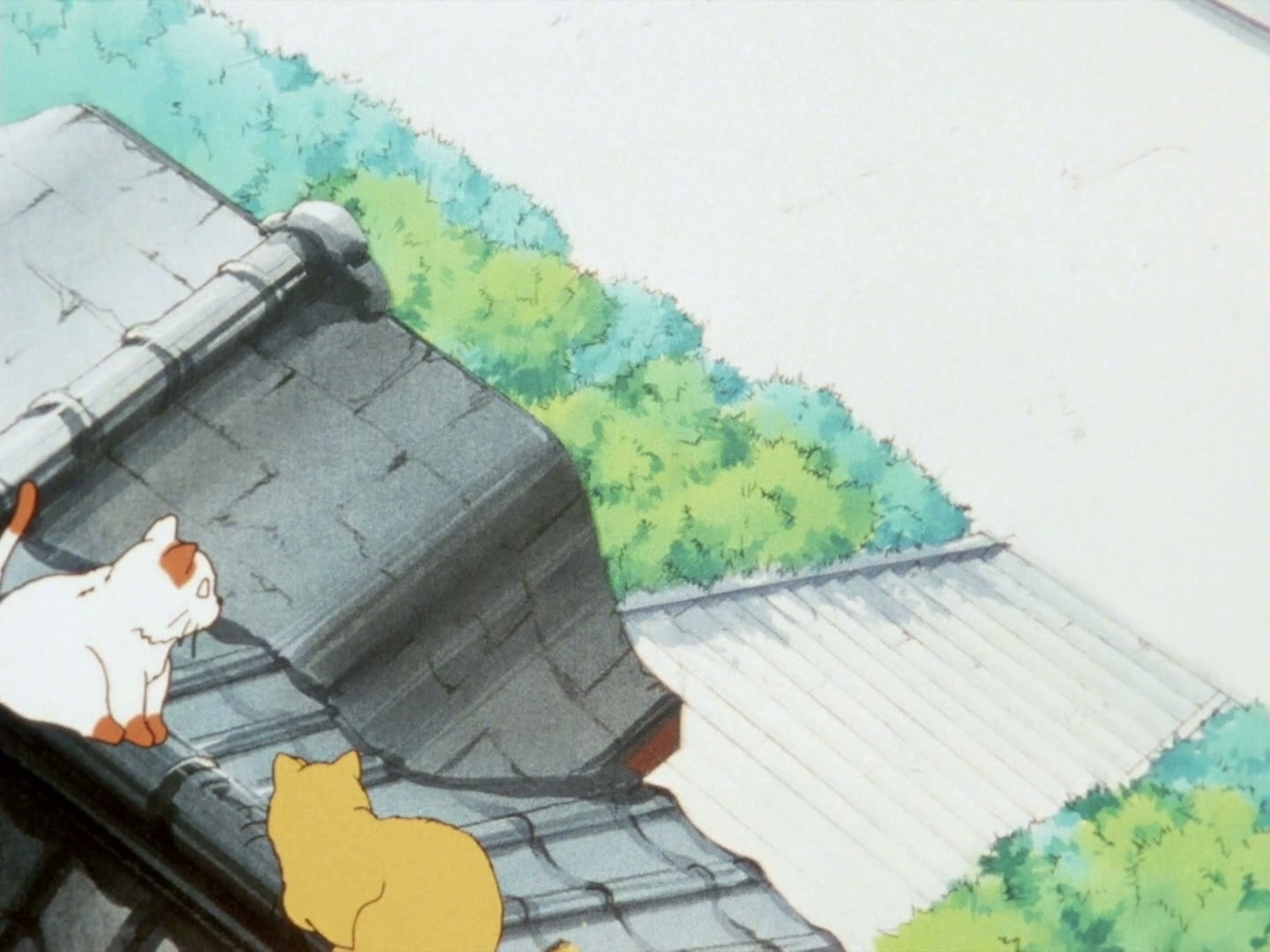 Ranma ½ Ep 143: Shampoo's Cursed Kiss @ 00:02:11