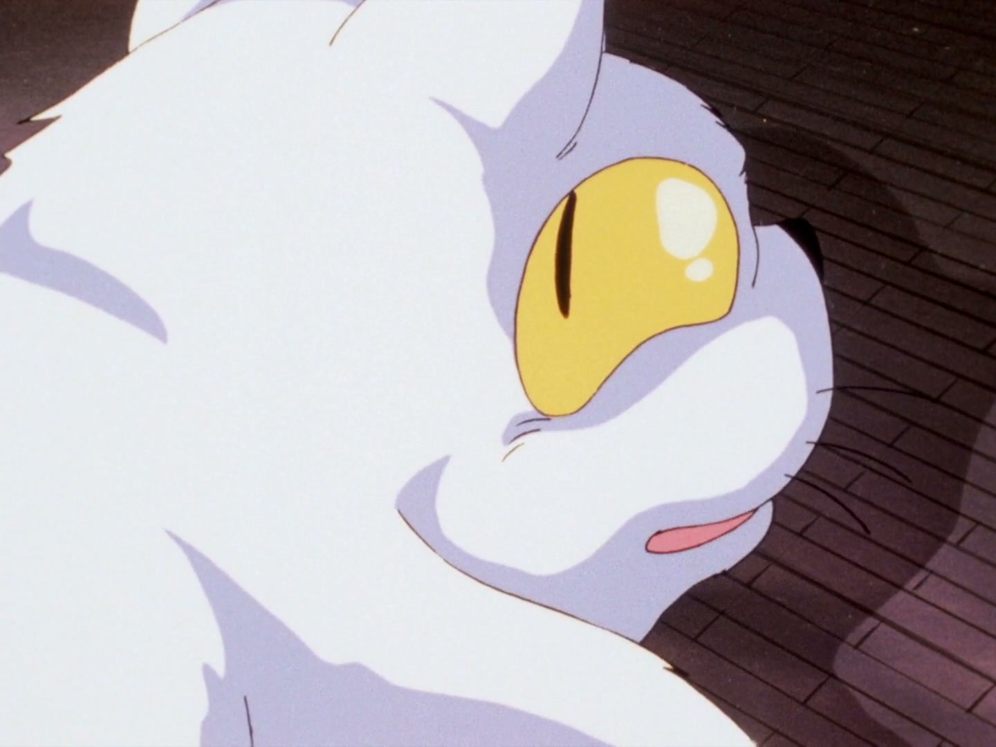 Ranma ½ Ep 143: Shampoo's Cursed Kiss @ 00:07:07