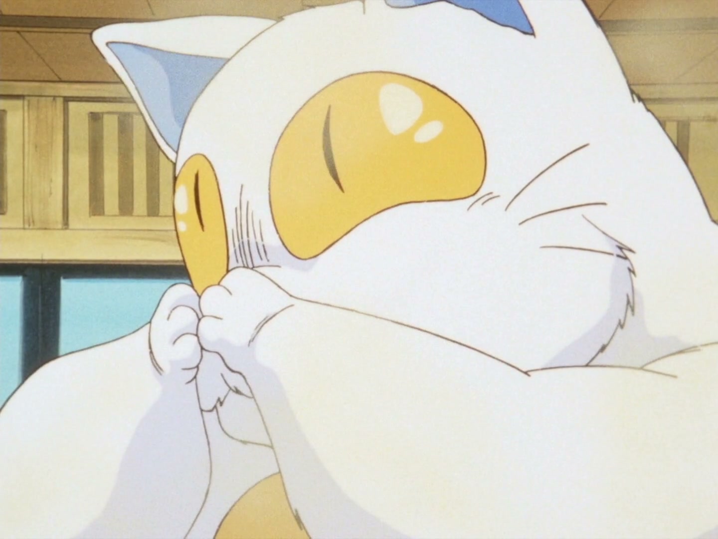 Ranma ½ Ep 143: Shampoo's Cursed Kiss @ 00:11:22