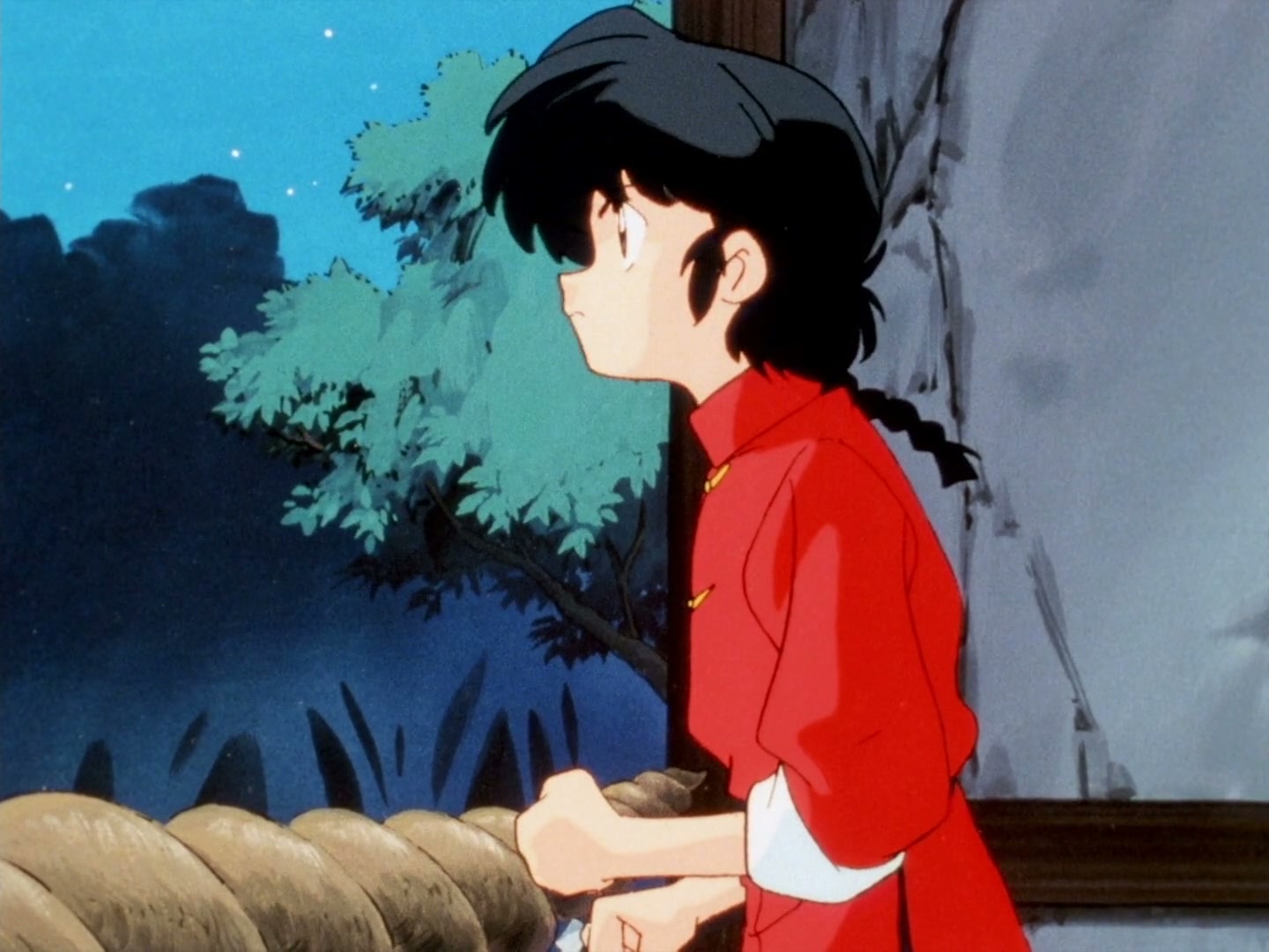Ranma ½ Ep 143: Shampoo's Cursed Kiss @ 00:15:16