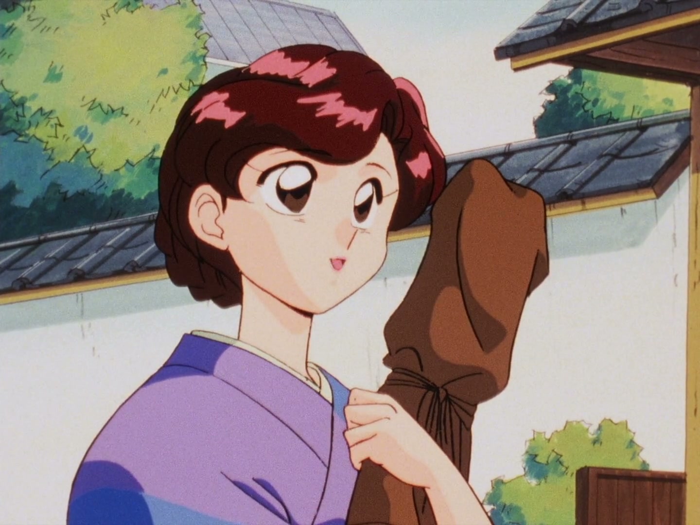 Ranma ½ Ep 161: Boy Meets Mom (Part 2) @ 00:07:19