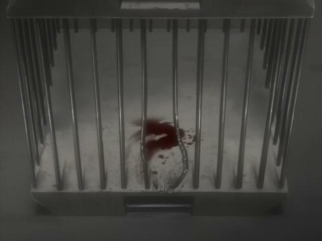 Wolf's Rain Ep 2: Toboe, Who Doesn't Howl @ 00:04:26