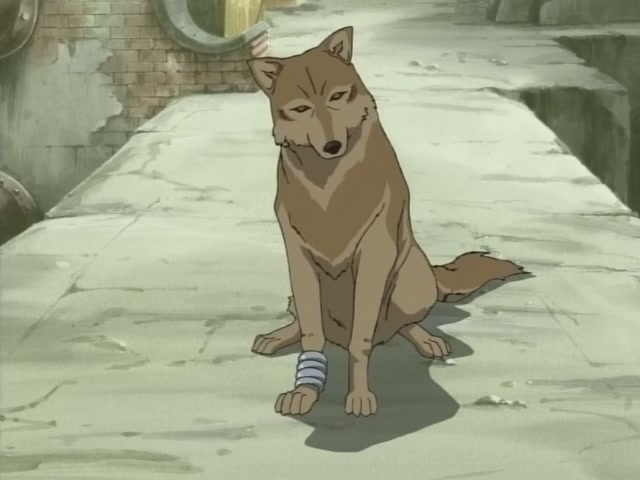 Wolf's Rain Ep 2: Toboe, Who Doesn't Howl @ 00:06:26