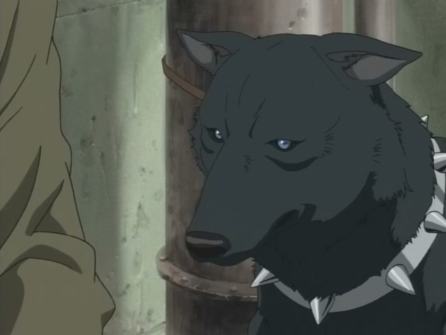 Wolf's Rain Ep 2: Toboe, Who Doesn't Howl @ 00:11:29