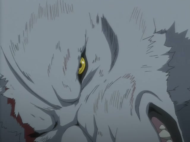 Wolf's Rain Ep 11: Vanishing Point @ 00:18:46