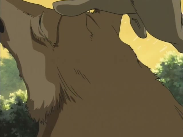 Wolf's Rain Ep 16: Dream Journey @ 00:05:54