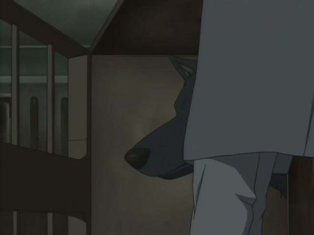 Wolf's Rain Ep 21: Battle's Red Glare @ 00:16:28