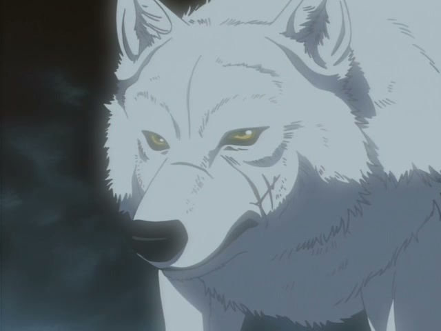 Wolf's Rain Ep 30: Wolf's Rain @ 00:11:54