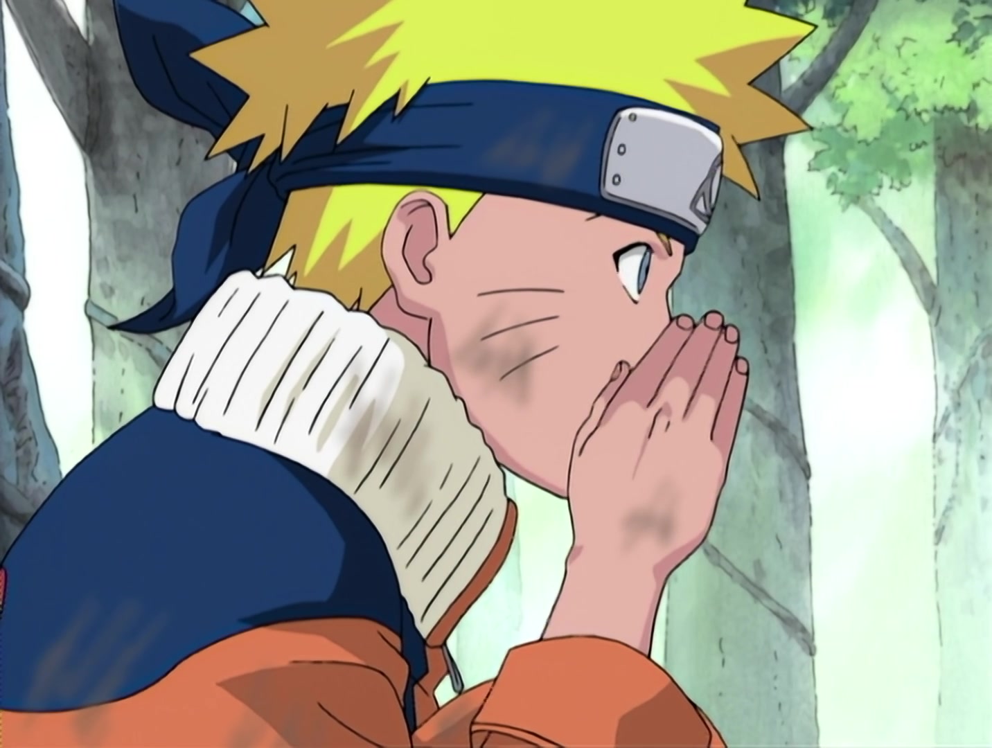 Naruto Ep 10: The Forest of Chakra @ 21:17