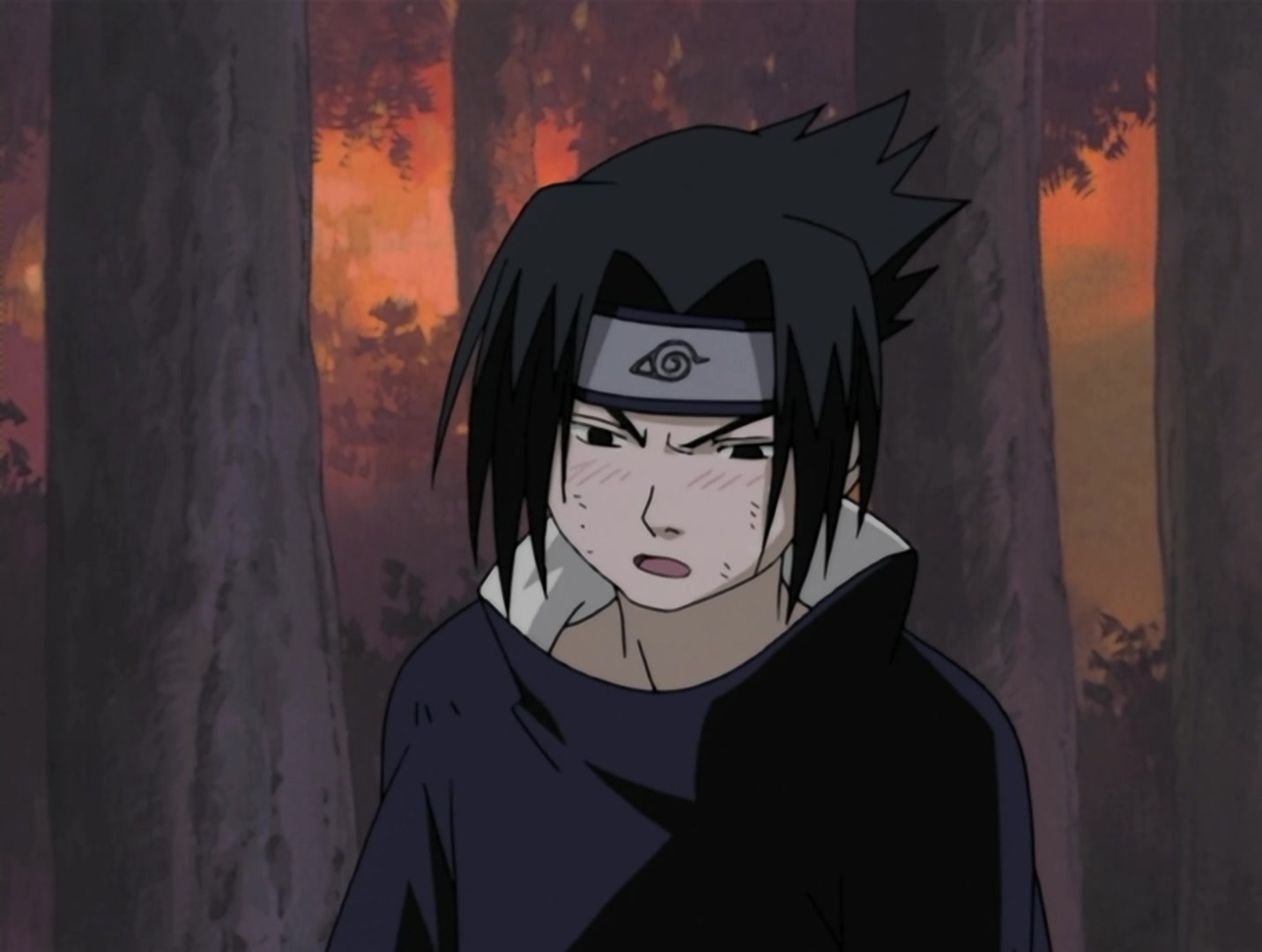 Naruto Ep 11: The Land Where a Hero Once Lived @ 08:33