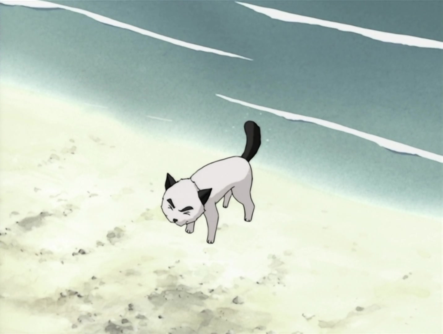 Naruto Ep 11: The Land Where a Hero Once Lived @ 14:02