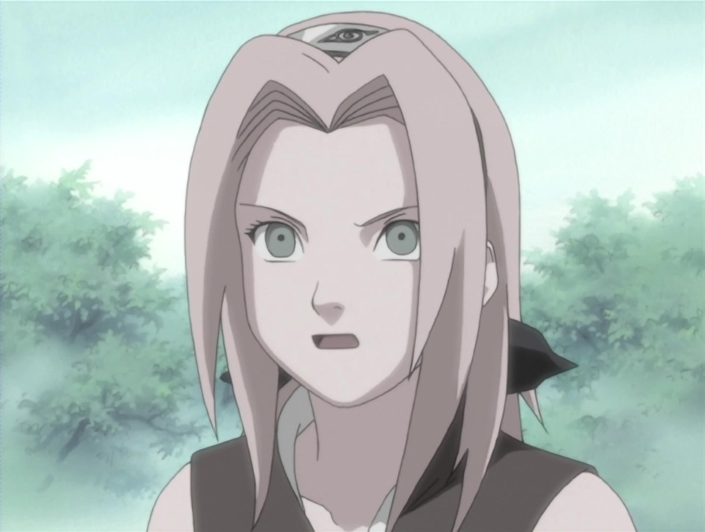Naruto Ep 21: Identify Yourself: Powerful New Rivals @ 15:09