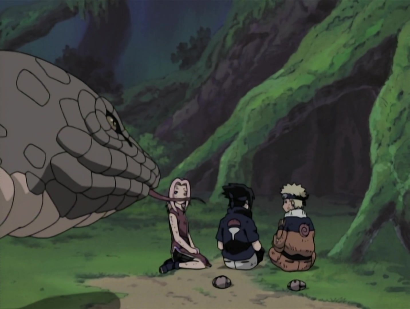 Naruto Ep 31: Bushy Brow's Jutsu: Sasuke Style! @ 06:18