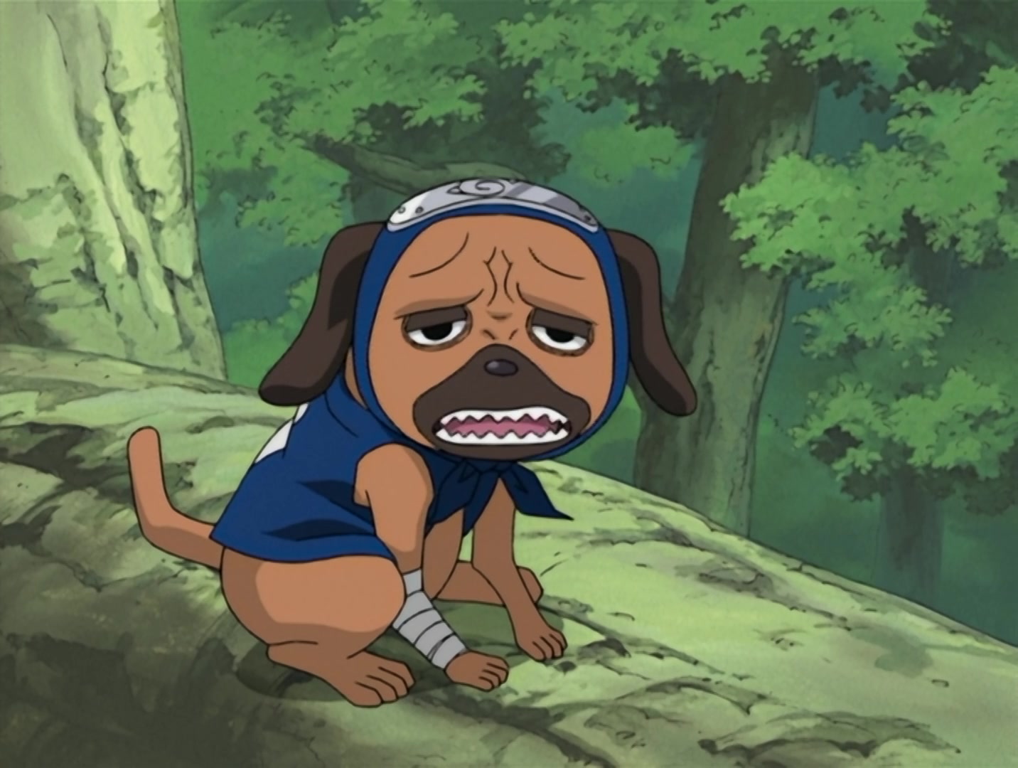 Naruto Ep 72: A Mistake from the Past: A Face Revealed! @ 02:49