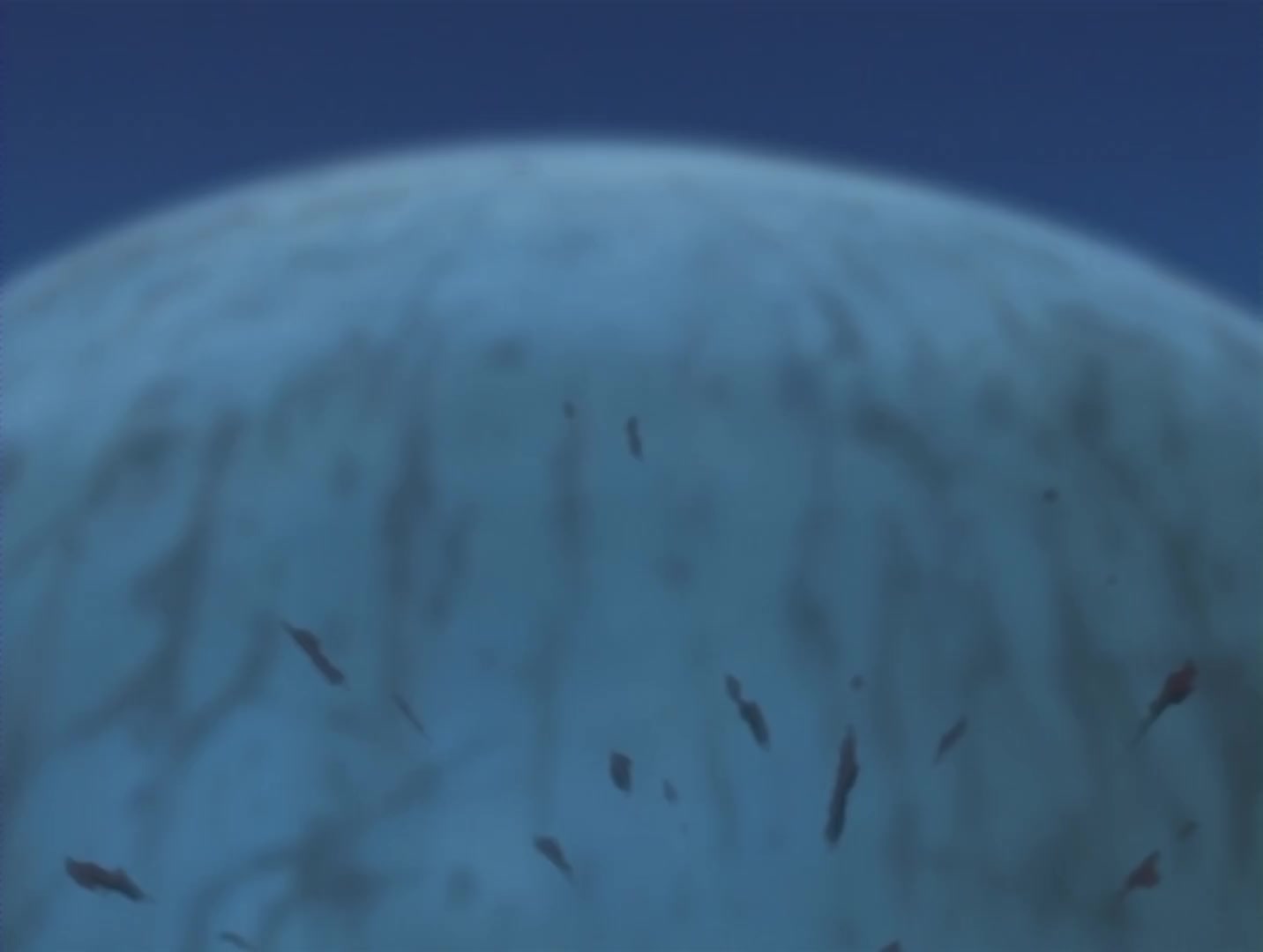 Naruto Ep 76: Assassin of the Moonlit Night @ 18:59