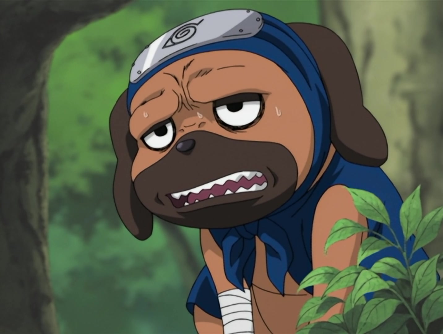Naruto Ep 76: Assassin of the Moonlit Night @ 20:48