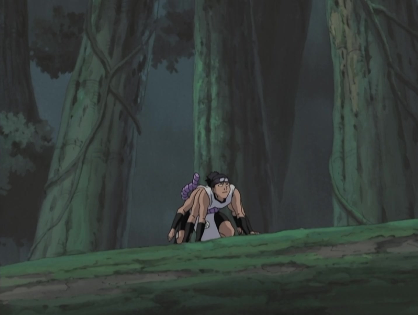 Naruto Ep 115: Your Opponent Is Me! @ 10:33