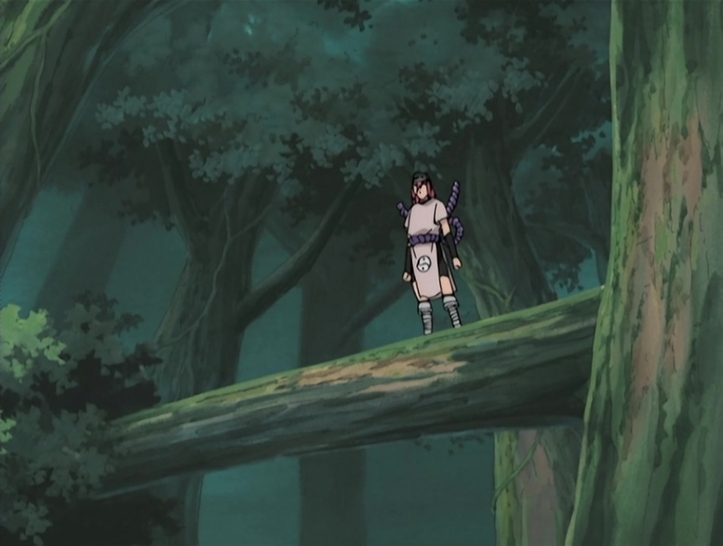 Naruto Ep 118: The Vessel Arrives Too Late @ 09:45
