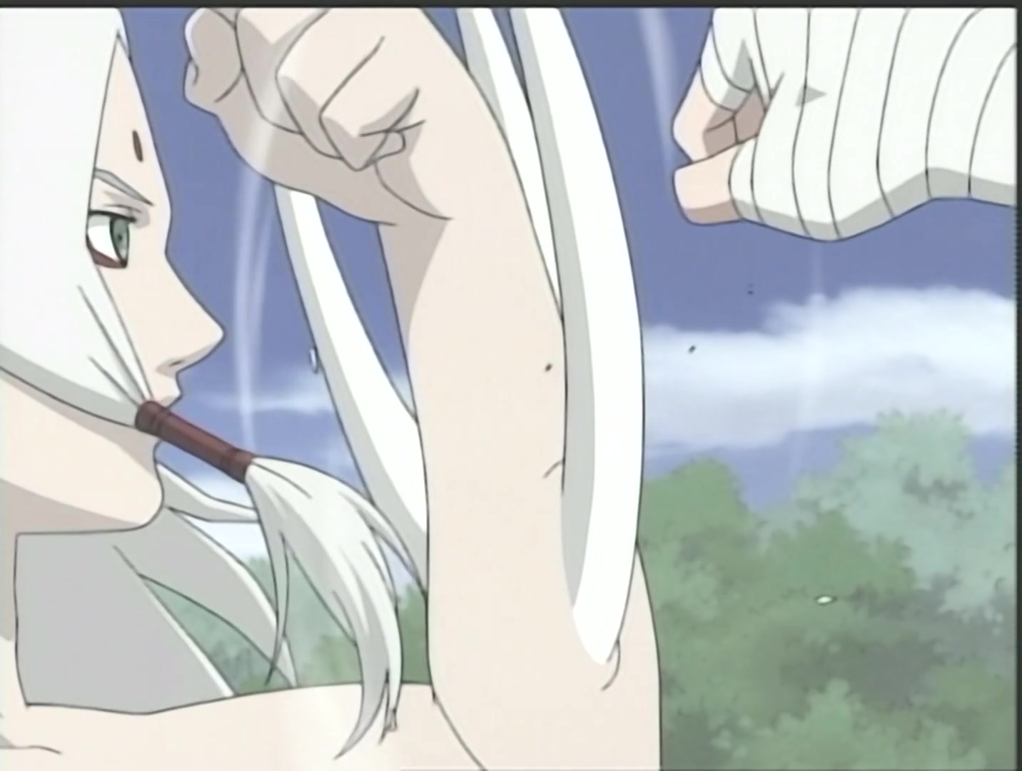 Naruto Ep 126: Showdown: Gaara vs. Kimimaro @ 19:01
