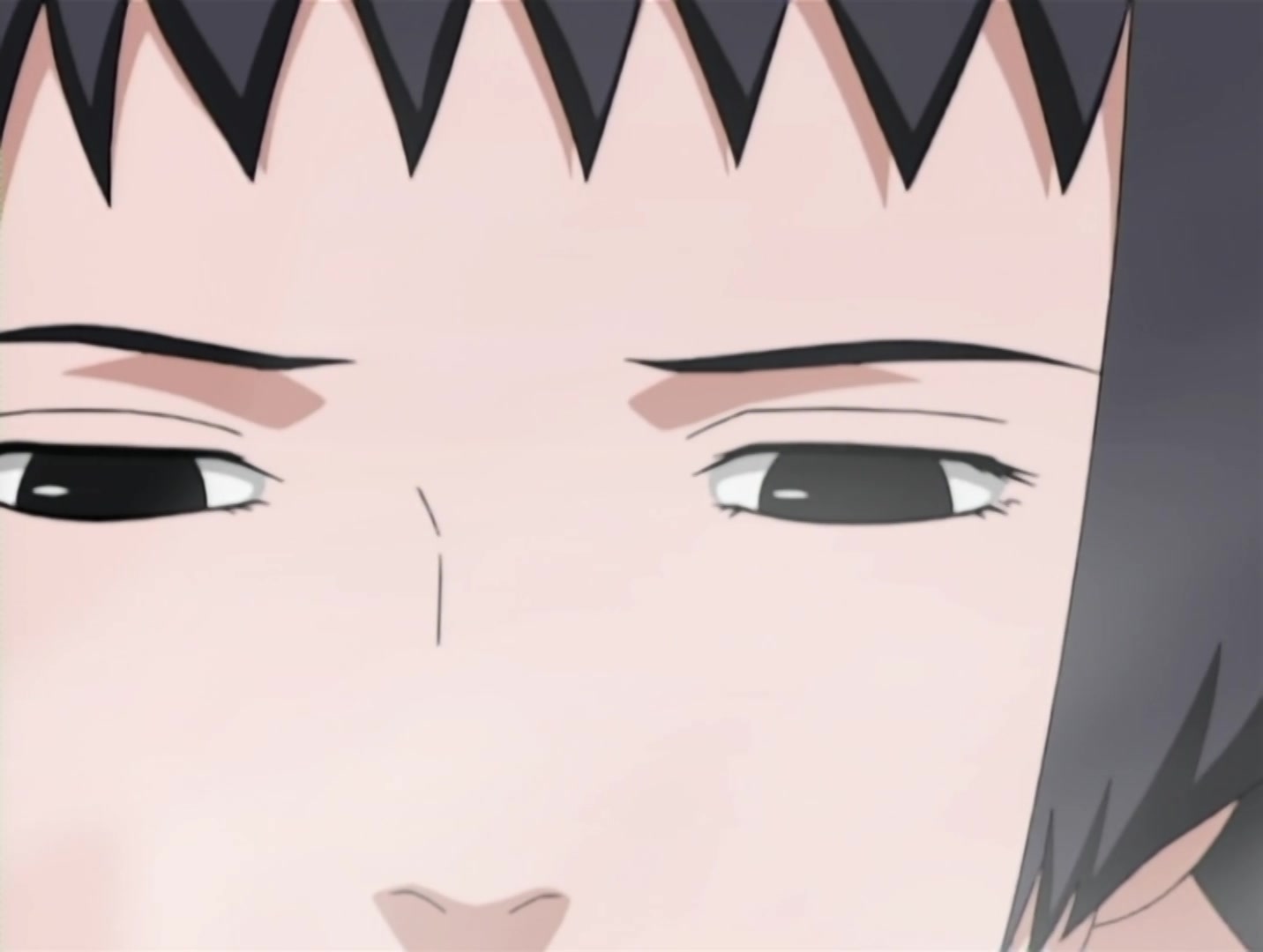 Naruto Ep 143: Tonton! I'm Counting on You! @ 09:41