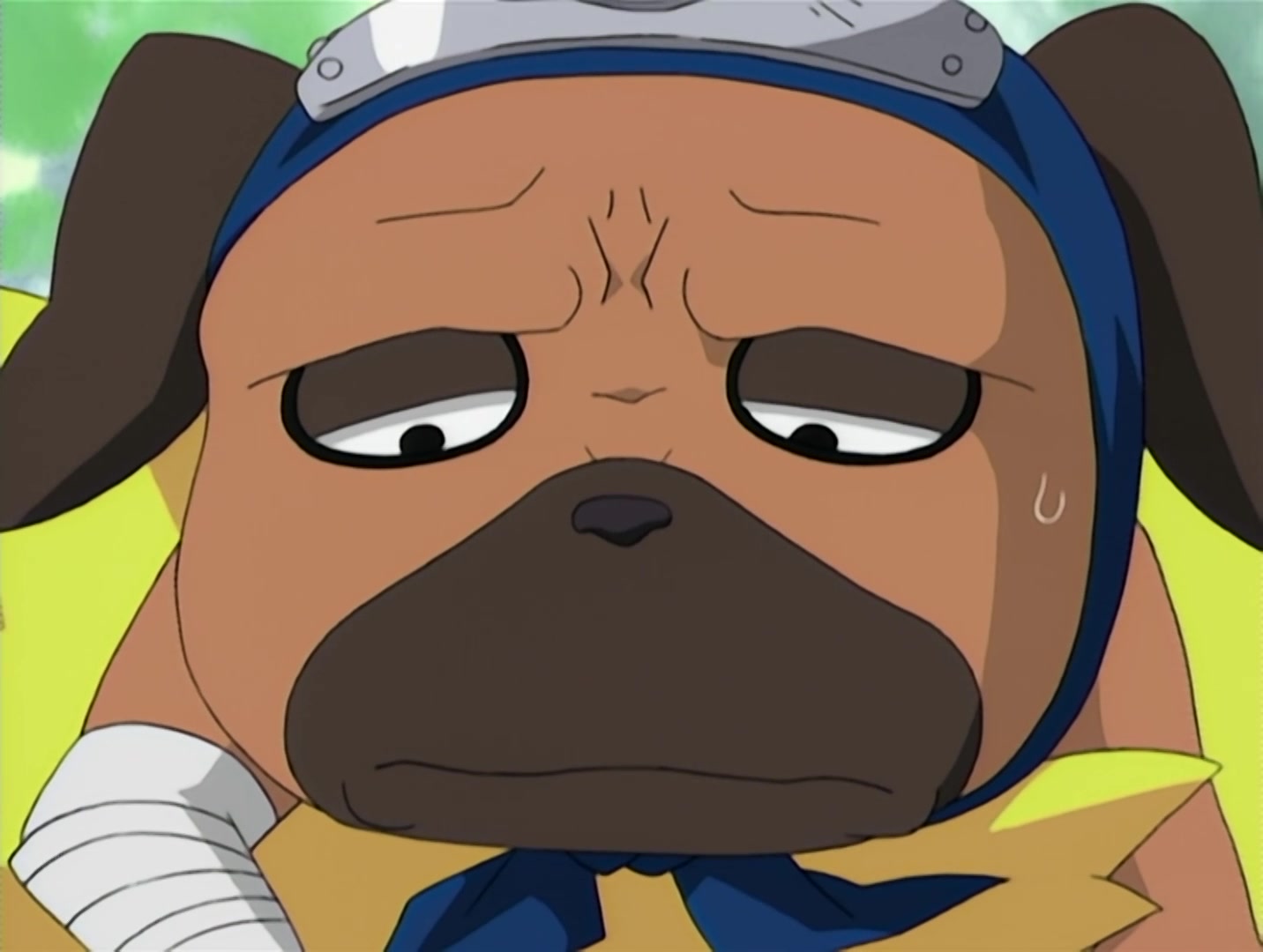 Naruto Ep 144: A New Squad! Two People and a Dog! @ 11:00