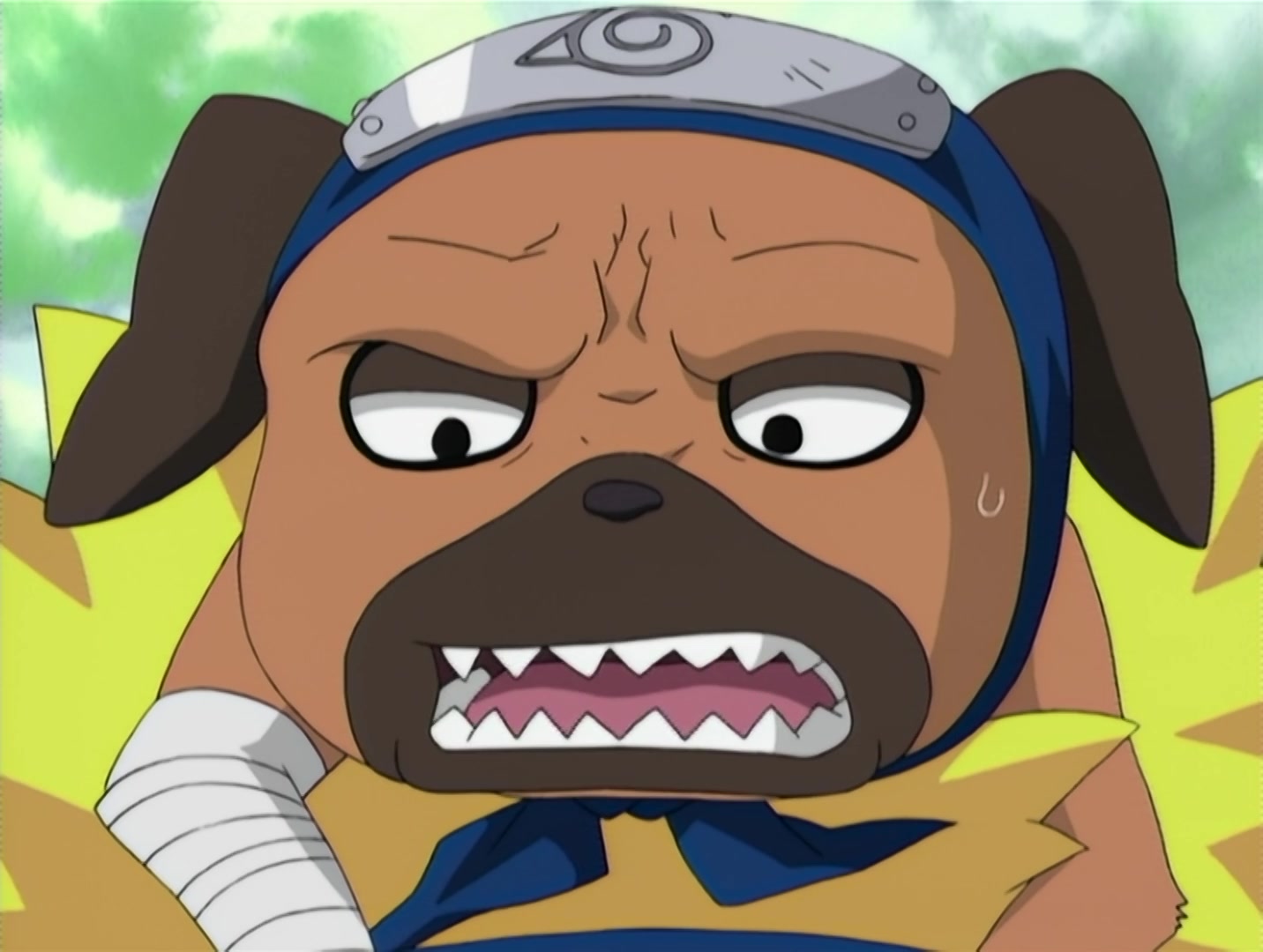 Naruto Ep 144: A New Squad! Two People and a Dog! @ 11:14
