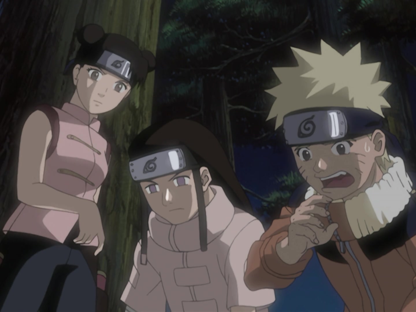 Naruto Ep 163: The Tactician's Intent @ 14:49