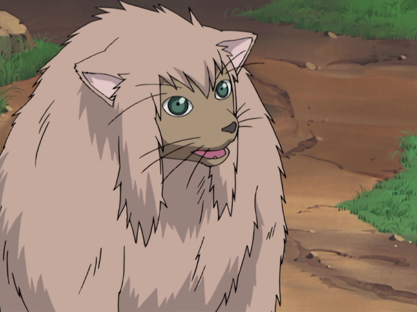 Naruto Ep 185: A Legend from the Hidden Leaf: The Onbaa! @ 17:05