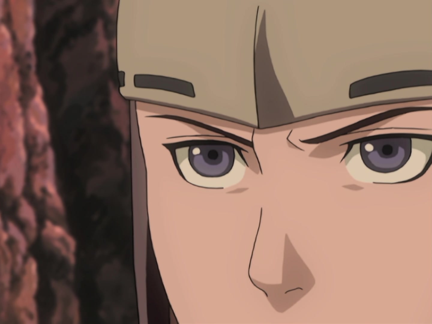 Naruto Ep 188: Mystery of the Targeted Merchants @ 14:27