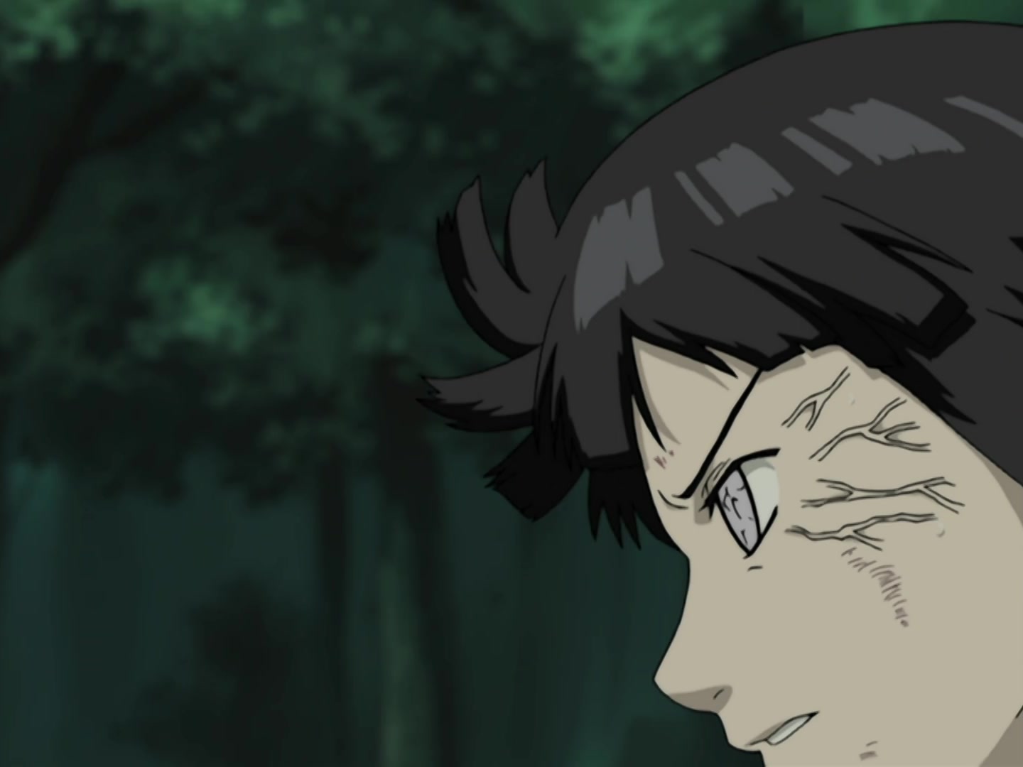 Naruto Ep 190: The Byakugan Sees the Blind Spot @ 09:06