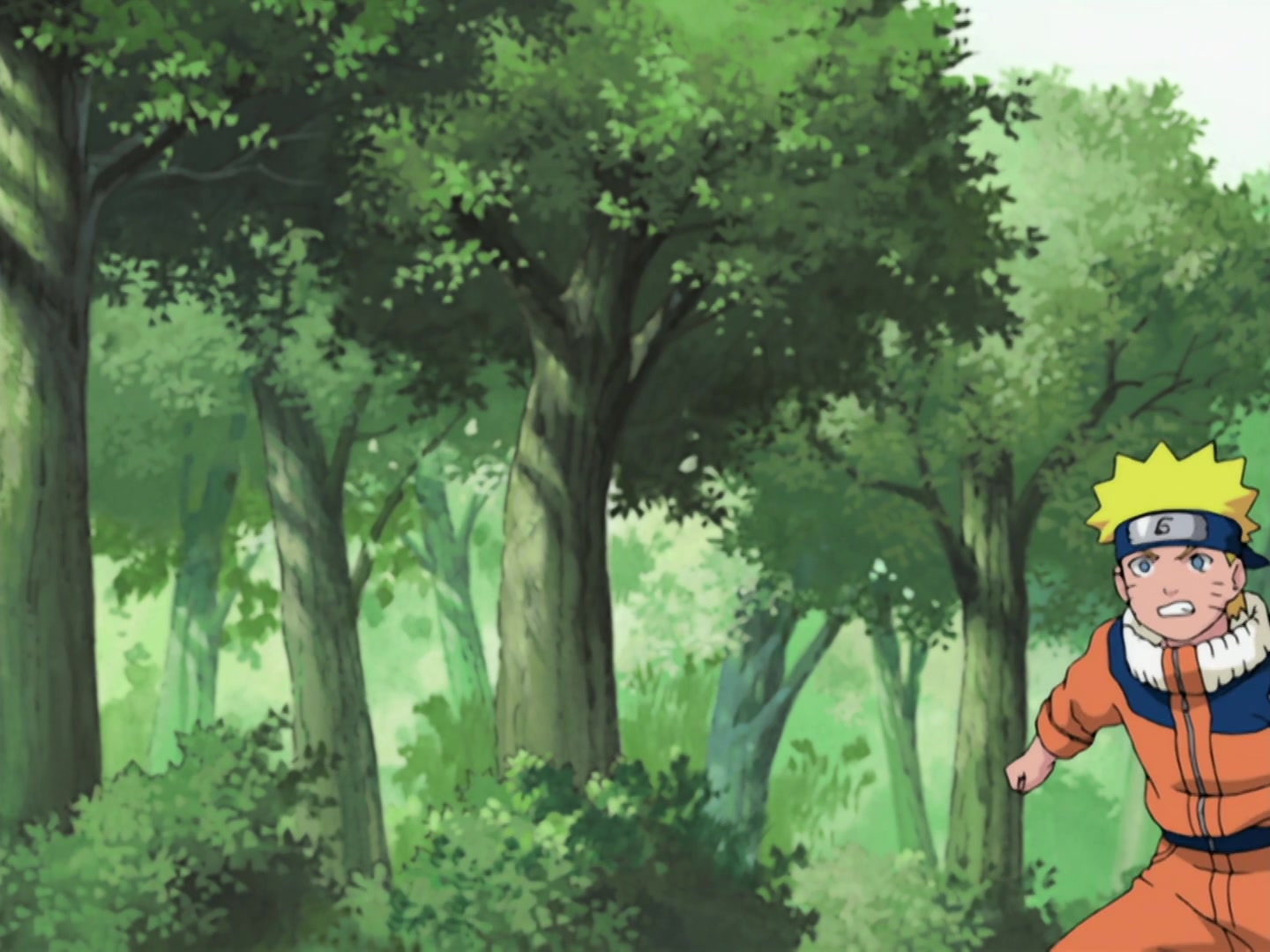 Naruto Ep 203: Kurenai's Decision, Squad 8 Left Behind @ 05:17