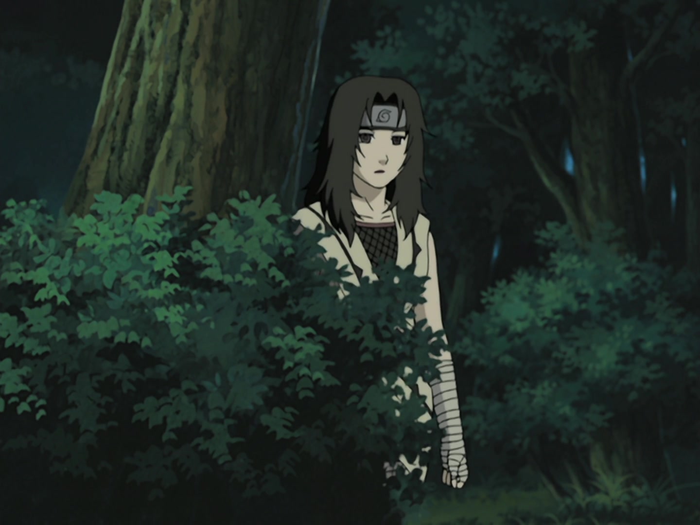Naruto Ep 203: Kurenai's Decision, Squad 8 Left Behind @ 18:23