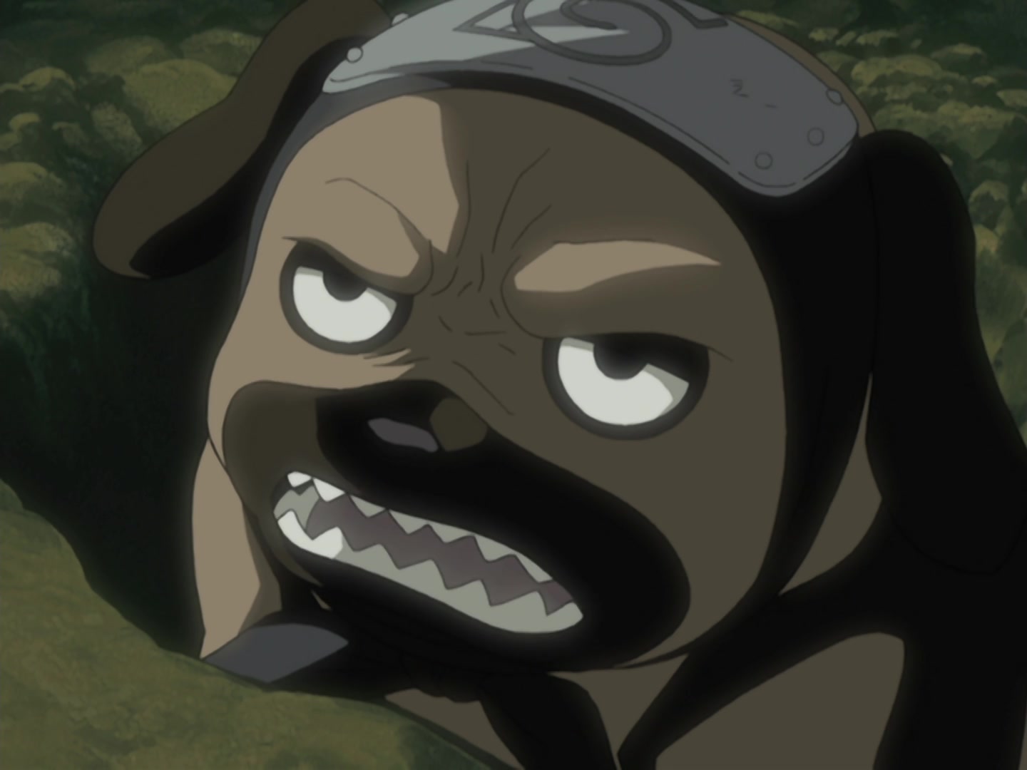 Naruto Ep 216: The Targeted Shukaku @ 03:21