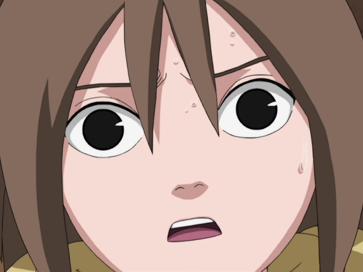 Naruto Ep 216: The Targeted Shukaku @ 08:47