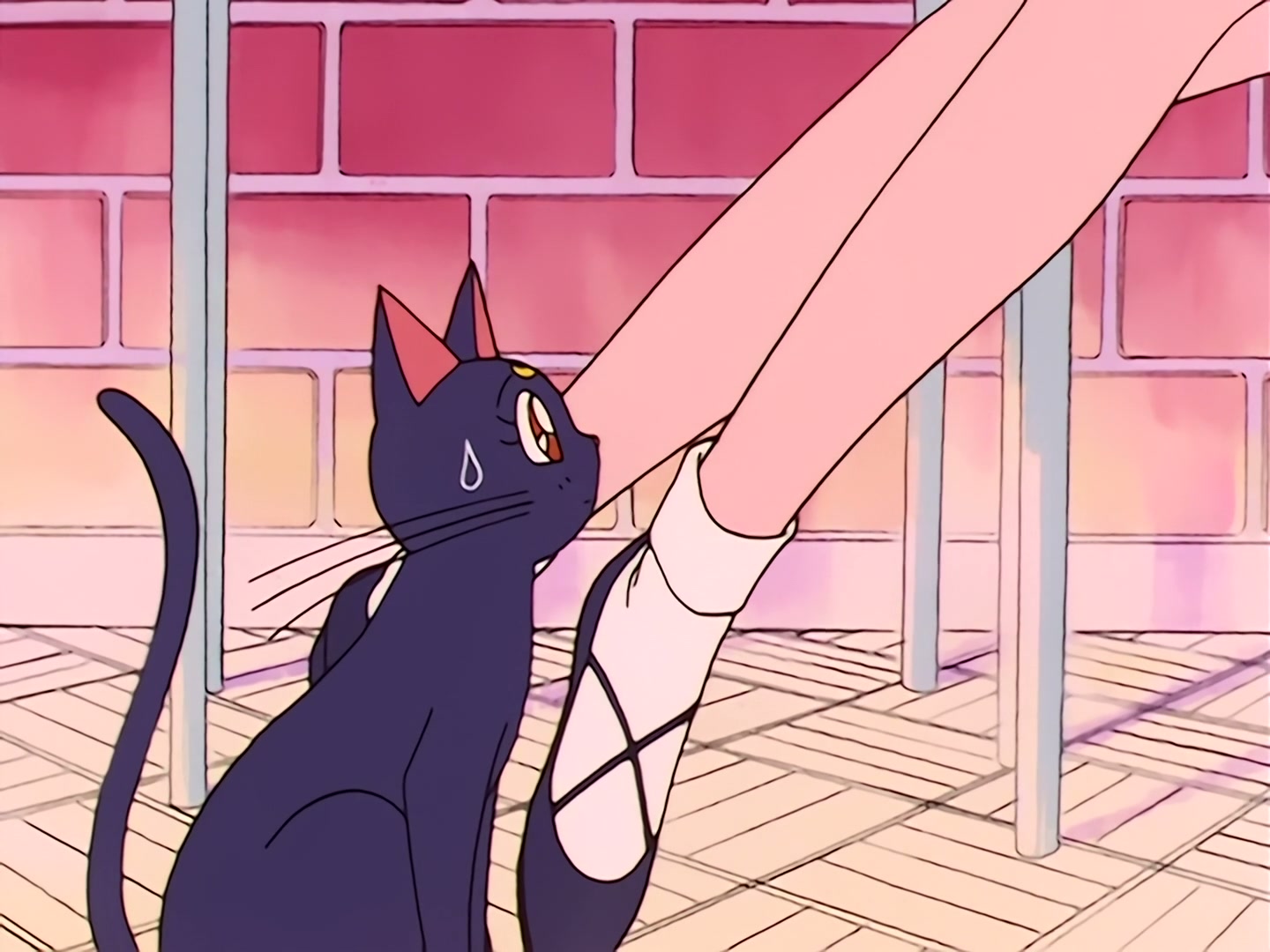 Sailor Moon Ep 12: I Want a Boyfriend Too! A Trap on a Luxury Cruise Ship @ 00:08:21