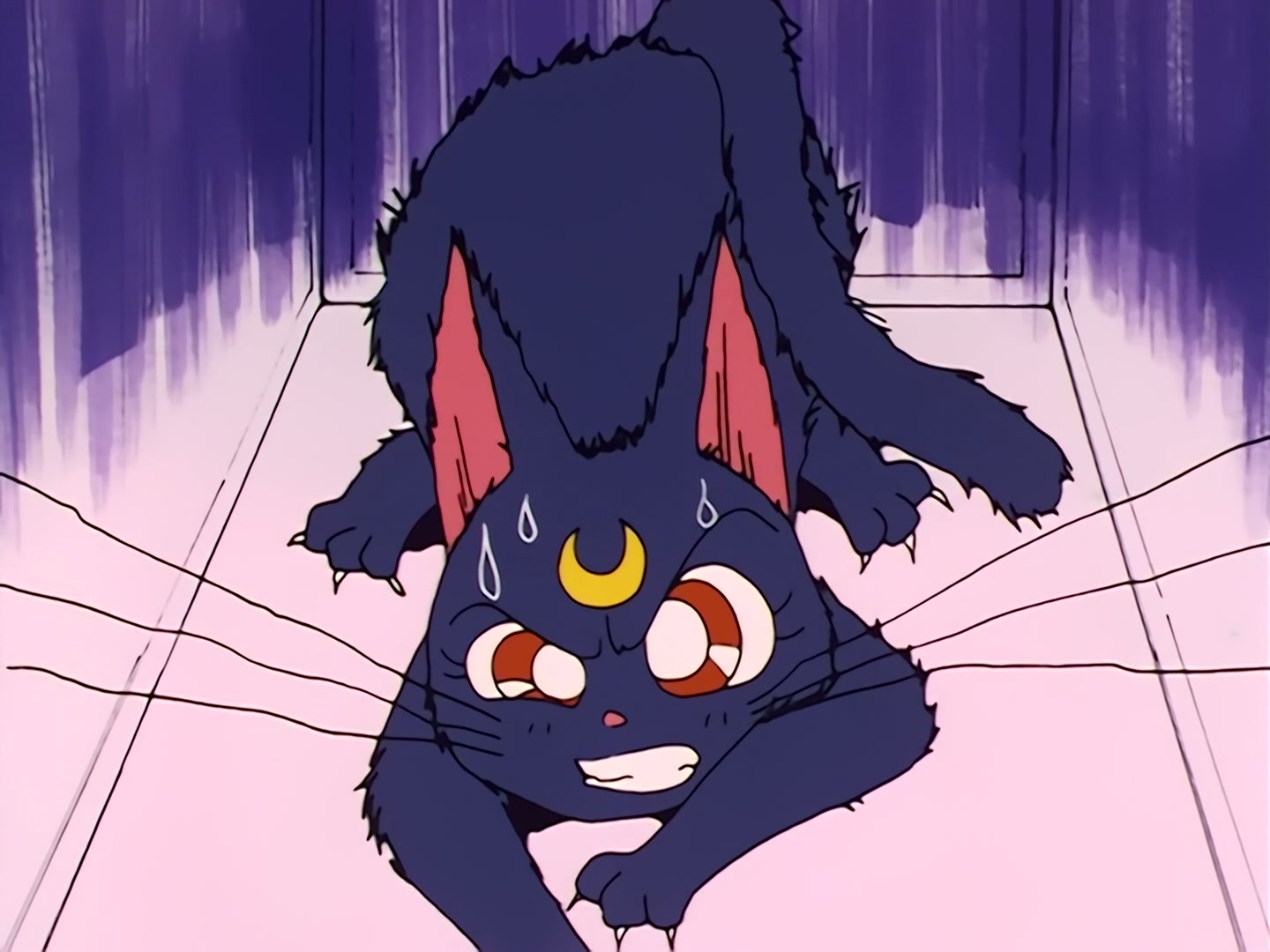 Sailor Moon Ep 12: I Want a Boyfriend Too! A Trap on a Luxury Cruise Ship @ 00:12:06