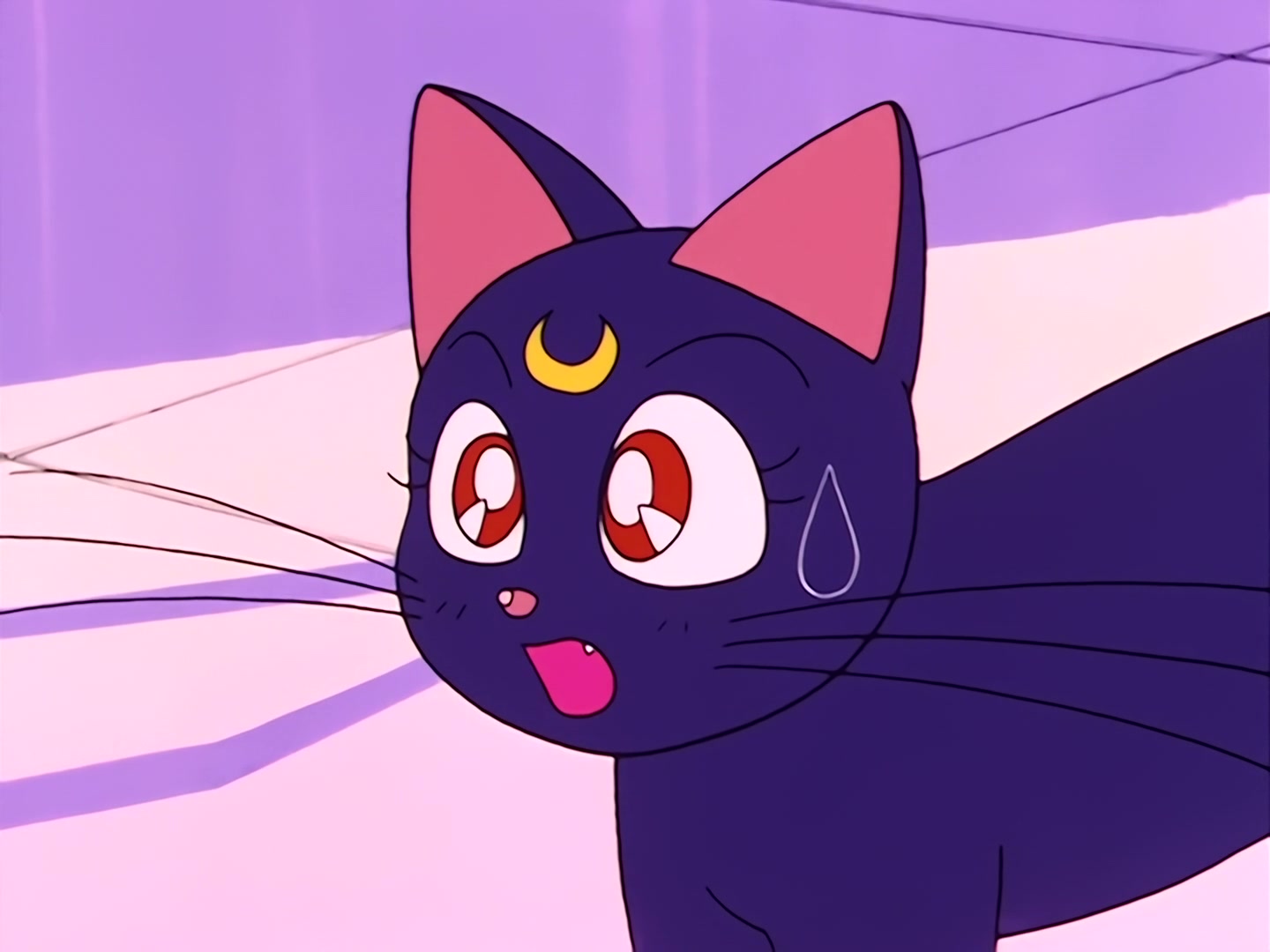 Sailor Moon Ep 17: Is Usagi a Model? The Focus of the Monster Camera @ 00:12:06