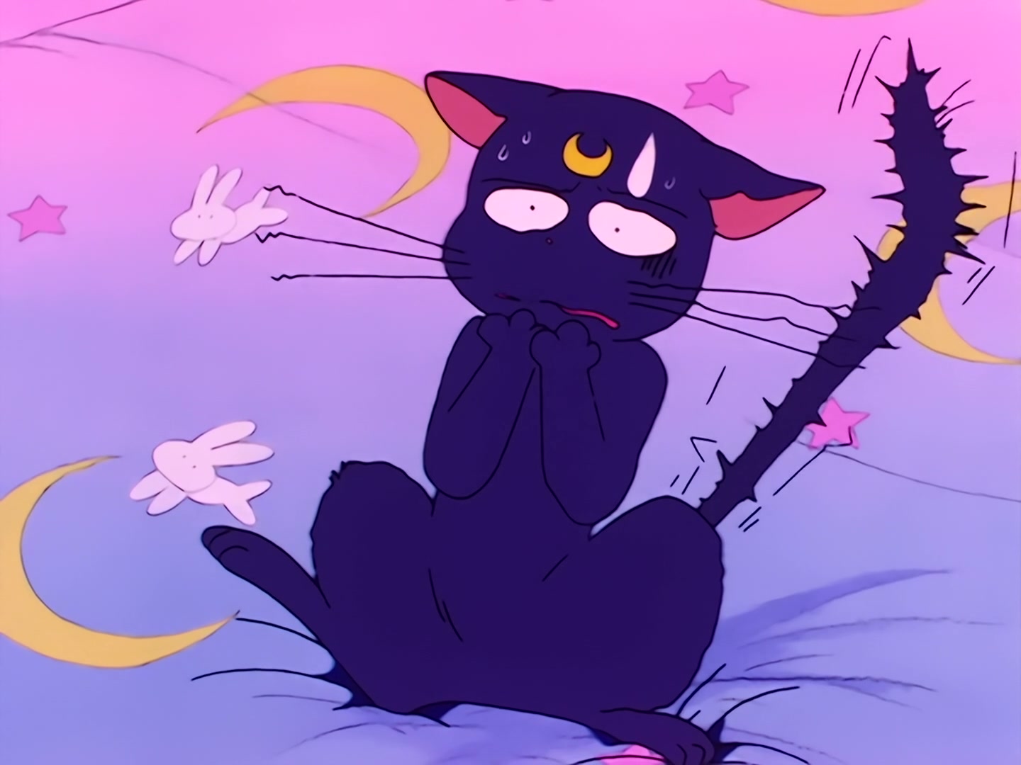 Sailor Moon Ep 18: Shingo's Innocent Love! A Sorrowful French Doll @ 00:13:37