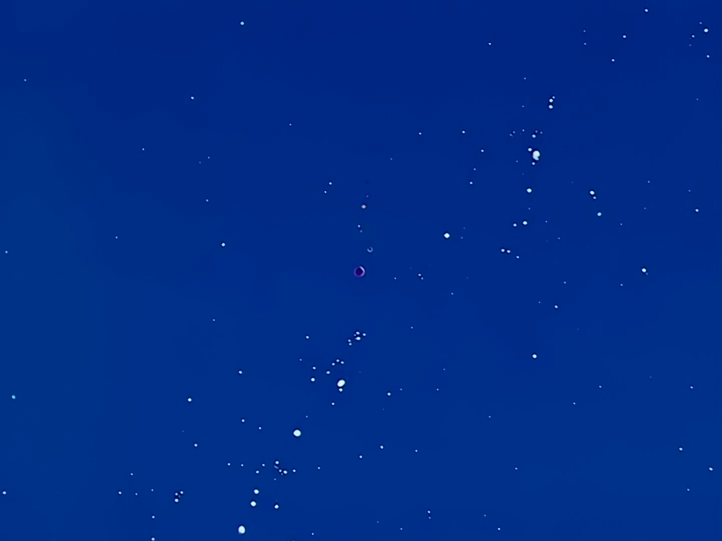 Sailor Moon Ep 25: Jupiter, the Brawny Girl in Love @ 00:05:49