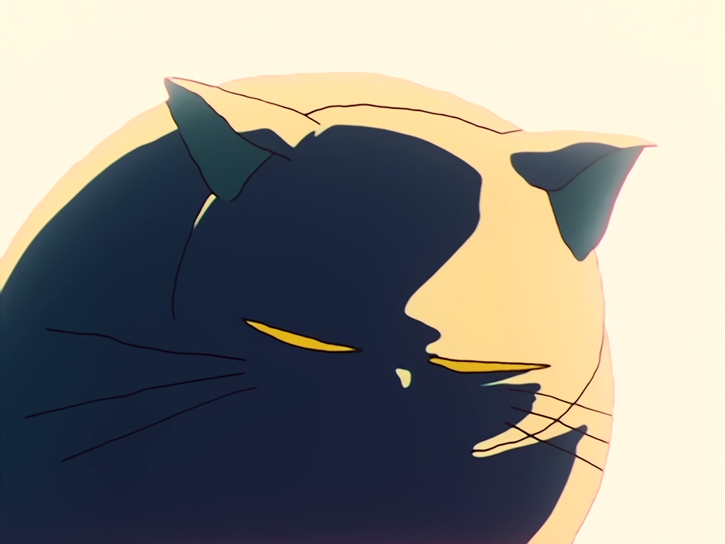 Sailor Moon Ep 31: Loved and Chased! Luna's Worst Day Ever @ 00:03:22