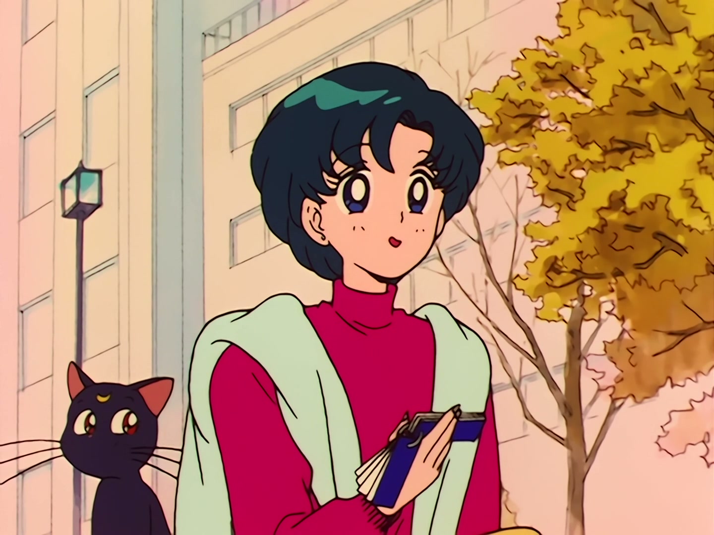 Sailor Moon Ep 31: Loved and Chased! Luna's Worst Day Ever @ 00:05:15