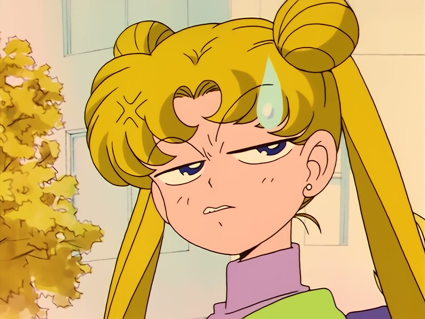 Sailor Moon Ep 31: Loved and Chased! Luna's Worst Day Ever @ 00:05:23