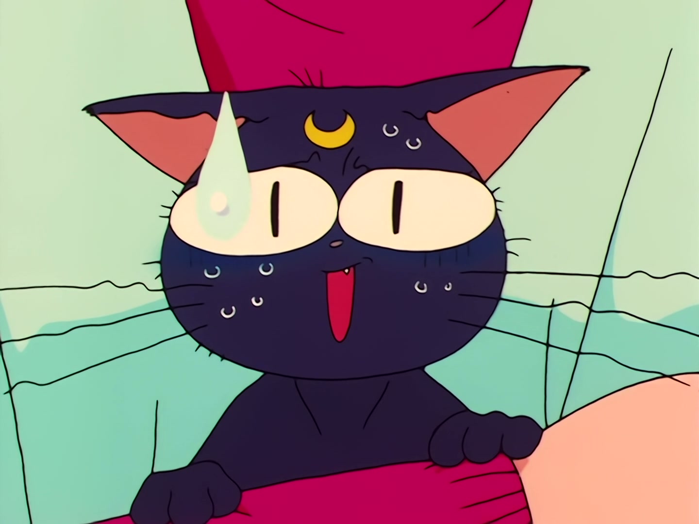 Sailor Moon Ep 31: Loved and Chased! Luna's Worst Day Ever @ 00:06:54